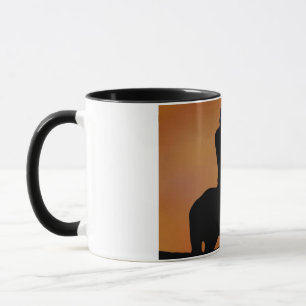 American Native Mug