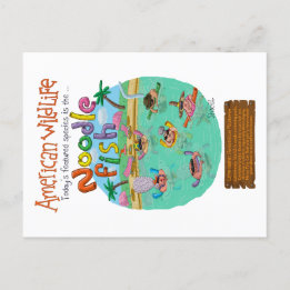 American Noodle Fish  Postcard