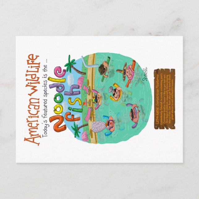 American Noodle Fish  Postcard (Front)