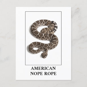 American Nope Rope - Rattlesnake Snake Danger Postcard