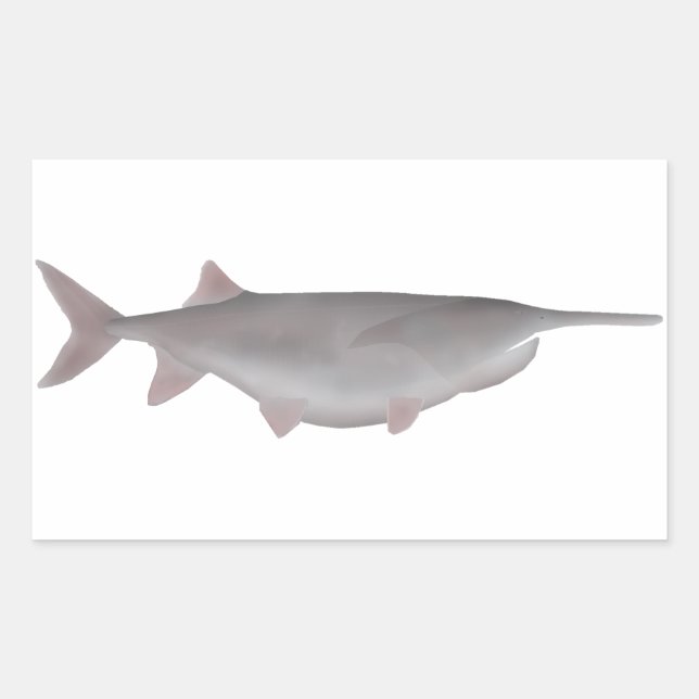 American Paddlefish Rectangular Sticker (Front)