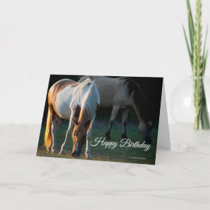 American Paint Horse Birthday Card