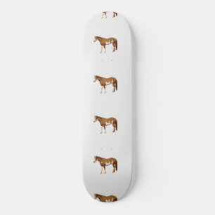 American Paint Horse Equestrian Watercolor Skateboard