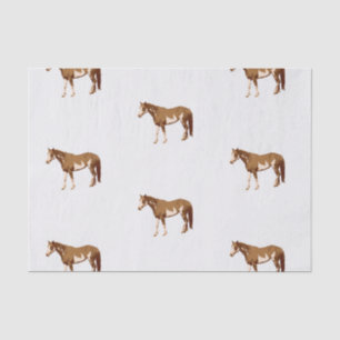 American Paint Horse Equestrian Watercolor Tissue Paper