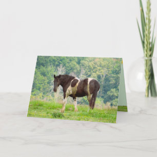 American Painted Horse in a Field Greeting Card