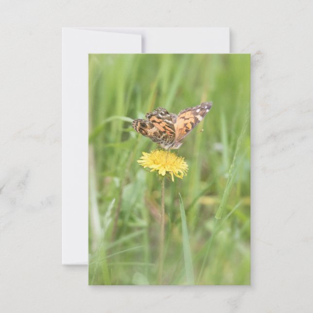 American Painted Lady Butterfly Notecard (Front)