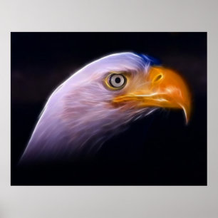 American Patriotic Bald Eagle, National Symbol Poster