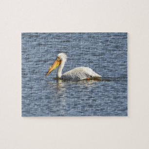 American Pelican Jigsaw Puzzle