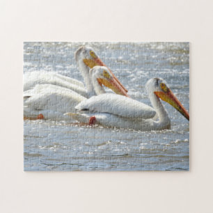 American Pelicans Swimming in the Mississippi Rive Jigsaw Puzzle