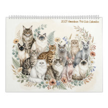 American Pet Cats - Two Page 2027