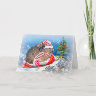 American Pika Christmas Holiday Card
