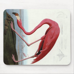 American Pink Flamingo Gift Lover Sketch Flamingo Mouse Mat