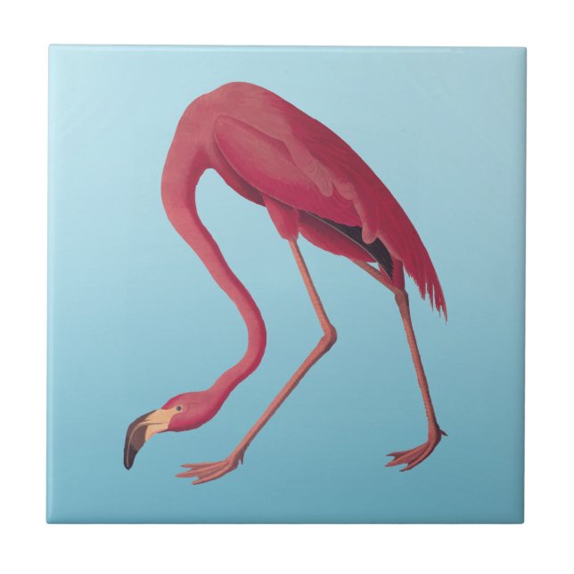 American Pink Flamingo Vintage Art Tile (Front)