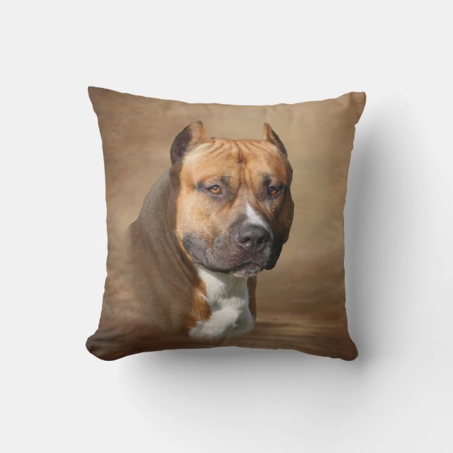 American Pit Bull Cushion (Front)