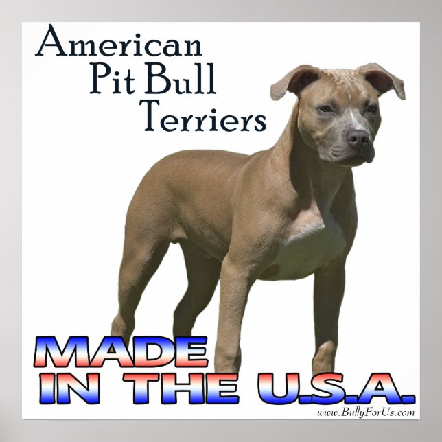 American Pit Bull Terrier (APBT) Poster (Front)