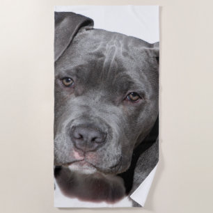 American Pit Bull Terrier Beach Towel