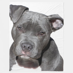 American Pit Bull Terrier Fleece Blanket
