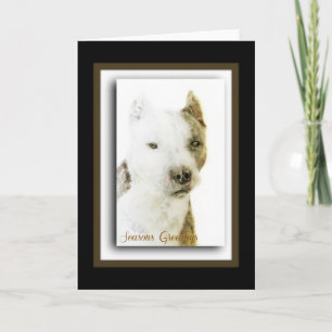 American Pit Bull Terrier Holiday Card
