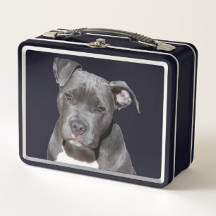 American Pit Bull Terrier Metal Lunch Box