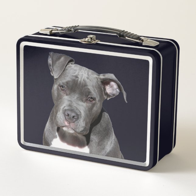 American Pit Bull Terrier Metal Lunch Box (Front)