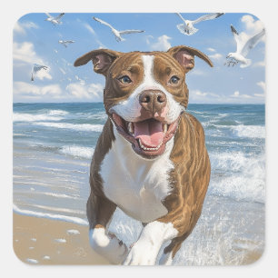 American Pit Bull Terrier on the beach Square Sticker