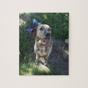 American Pit Bull Terrier Puzzle