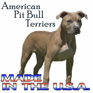 American Pit Bull Terriers  Paper Sculpture Standing Photo Sculpture
