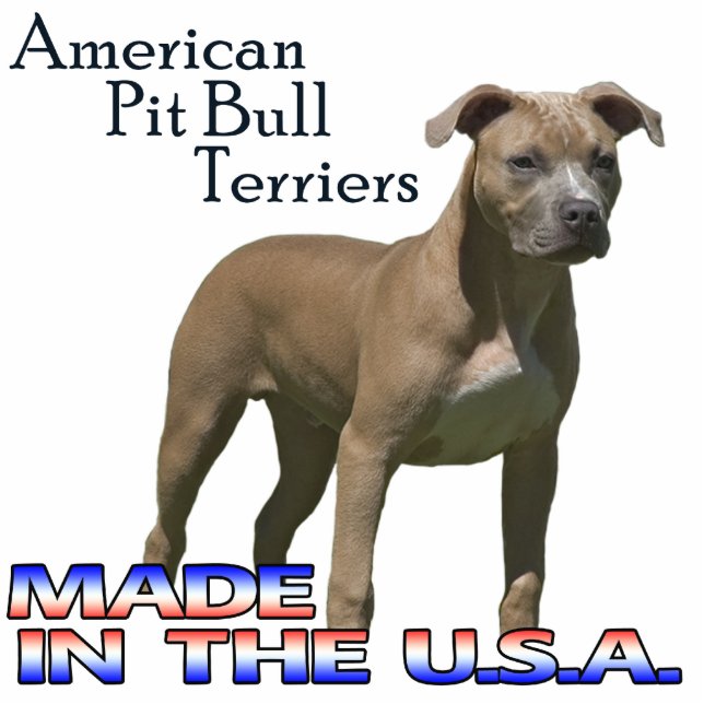 American Pit Bull Terriers  Paper Sculpture Standing Photo Sculpture (Front)