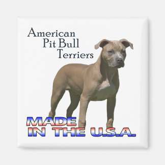 American Pit Bull Terriers : Square Magnet