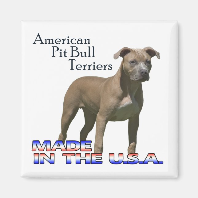 American Pit Bull Terriers : Square Magnet (Front)