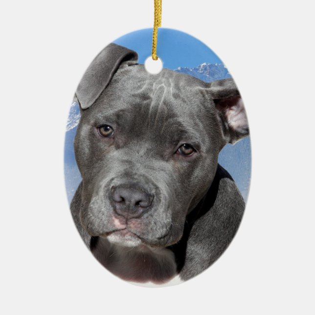 American Pitbull Terrier Puppy Dog Ceramic Tree Decoration (Front)