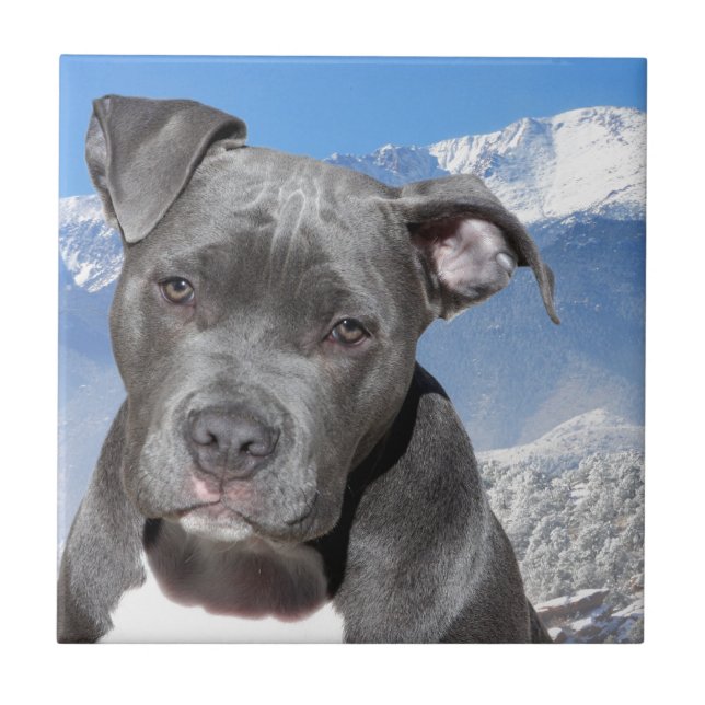 American Pitbull Terrier Puppy Dog Tile (Front)