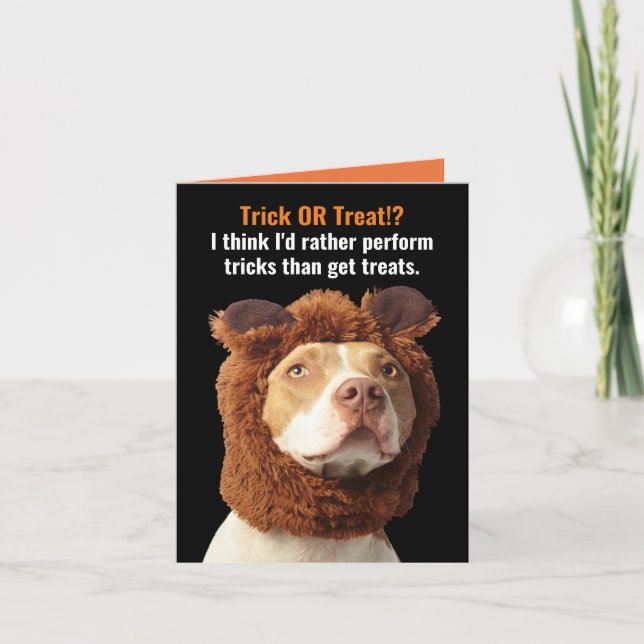 American Pitbull Trick or Treat Halloween Humour   Card (Front)
