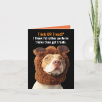 American Pitbull Trick or Treat Halloween Humour  