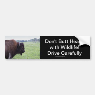 American Plains Buffalo Bison Bumper Sticker