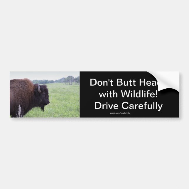 American Plains Buffalo Bison Bumper Sticker (Front)