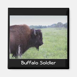 American Plains Buffalo Bison Magnet