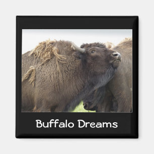 American Plains Buffalo Bison Magnet