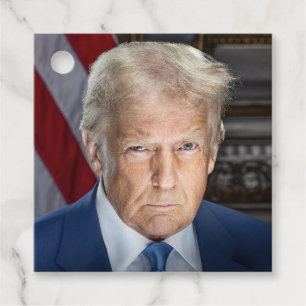 American President Donald Trump Photo 2025 Favour Tags