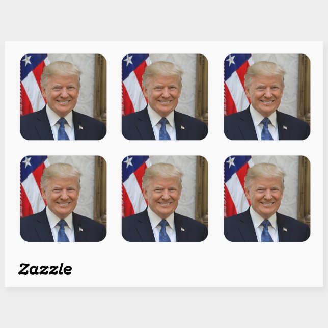 American President Donald Trump White House Square Sticker (Sheet)