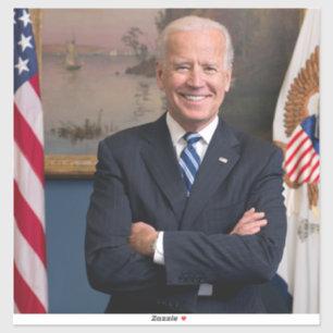 American President Joe Biden as Senator