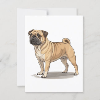 American Pugabull Postcard