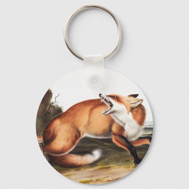 American Red Fox (Vulpes Fulvus) Illustration Key Ring (Front)