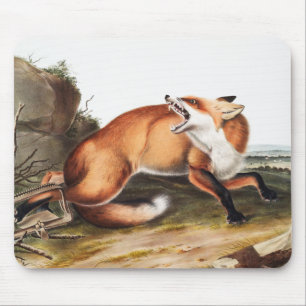 American Red Fox (Vulpes Fulvus) Illustration Mouse Mat