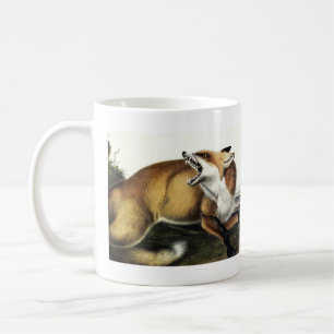 American Red Fox, Vulpes vulpes fulvus by Audubon Coffee Mug