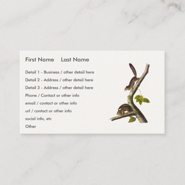 American Red Squirrel (Richardson's Columbian) Business Card (Front)