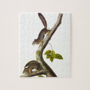 American Red Squirrel (Richardson's Columbian) Jigsaw Puzzle