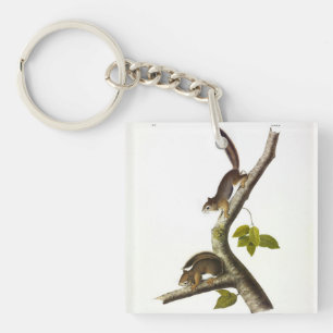 American Red Squirrel (Richardson's Columbian) Key Ring