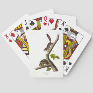 American Red Squirrel (Richardson's Columbian) Playing Cards