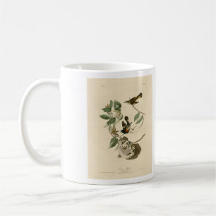 American Redstart from Audubon's Birds of America Coffee Mug